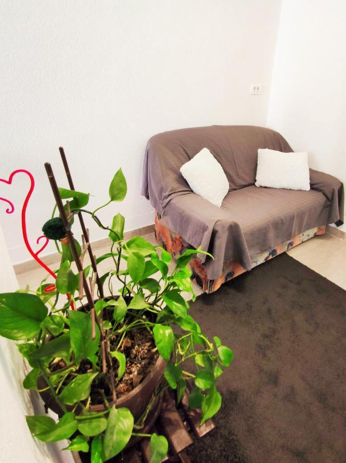 Leo Apartment